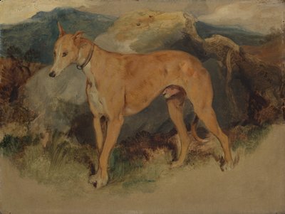 Um Deerhound, 1826. de Edwin Landseer