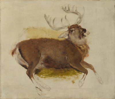 Morrendo Stag, ca. 1830 de Edwin Landseer