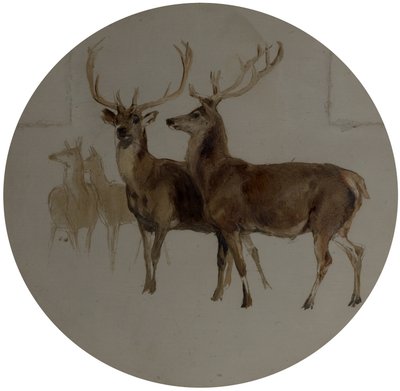 Cervos em uma paisagem (estudos de cervos) de Edwin Landseer