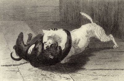 Exemplo X, cão lutando com macaco de Edwin Landseer