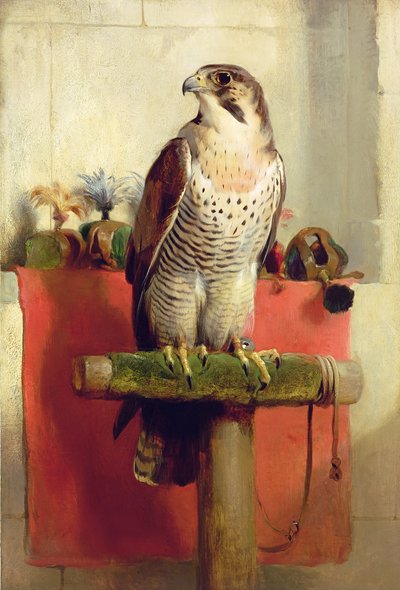 Falcon, 1837 de Edwin Landseer