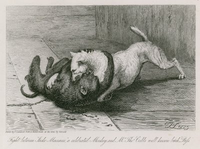 Luta entre Jacco Macacco, um célebre macaco, e a famosa cadela do Sr. Thomas Cubb, Puss de Edwin Landseer