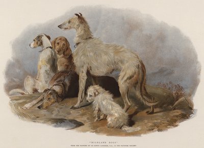 Cães das Terras Altas (cromolitho) de Edwin Landseer