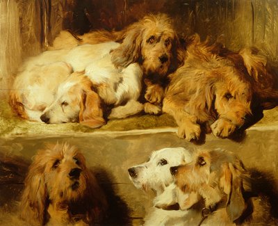 Cães em um canil de Edwin Landseer