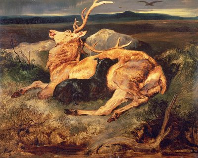 Veado de Edwin Landseer