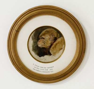 Estudo para o macaco em &39;The Cat&39;s Paw&39;, 1824 (óleo e grafite sobre painel de carvalho) (ver também 488012) de Edwin Landseer