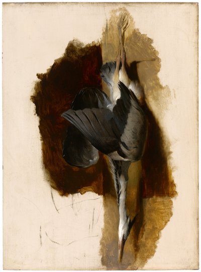 Estudo de uma garça morta, c.1832-33 de Edwin Landseer