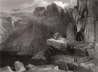 Ninho da águia de Edwin Landseer