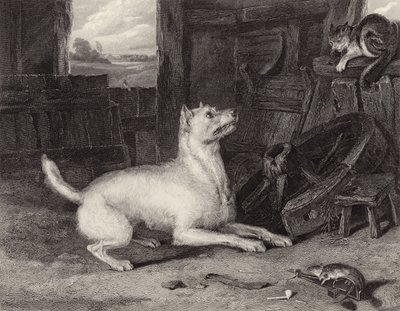 O intruso de Edwin Landseer