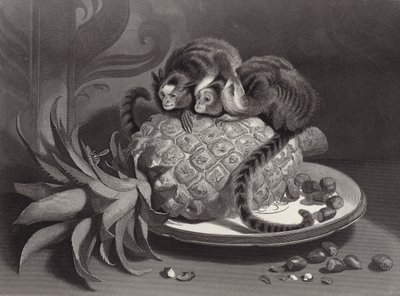 Os marmozettes de Edwin Landseer