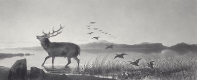 O resgate de Edwin Landseer