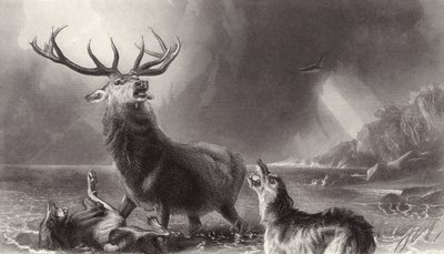 O Stag na Baía de Edwin Landseer