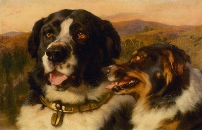 Os Twa Dogs (óleo sobre tela) de Edwin Landseer