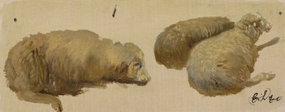 Três ovelhas em repouso (óleo sobre papel) de Edwin Landseer