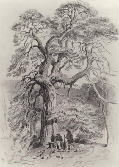 Sob a velha árvore de abeto de Edwin Landseer