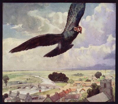 Um Pombo Transportador na Asa (cor litho) de Edwin Noble