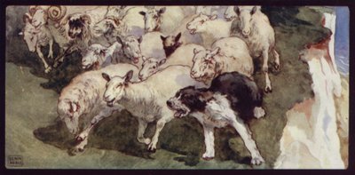 Bobtailed Sheep-Dog e Flock on the Cliffs (cor litho) de Edwin Noble