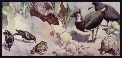 Foes of the Worm and Slug (cor litho) de Edwin Noble