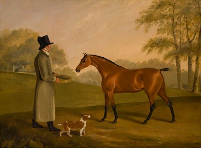 Um cavalo numa paisagem com o noivo, David, Bennet, c.1805 (óleo sobre tela) de Edwin W. Cooper