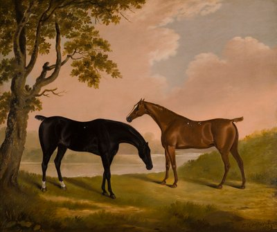 Dois Caçadores num rio arborizado, c.1805 (óleo sobre tela) de Edwin W. Cooper