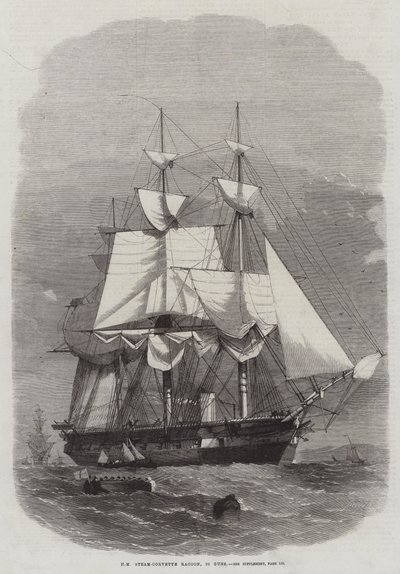 Guaxinim HM Steam-Corvette, 22 armas de Edwin Weedon
