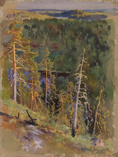 Paisagem florestal de Eero Järnefelt