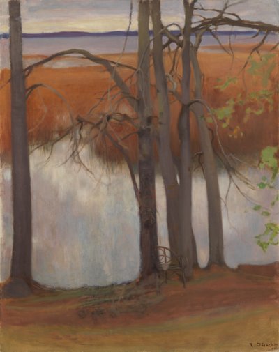 Margem do lago com juncos de Eero Järnefelt