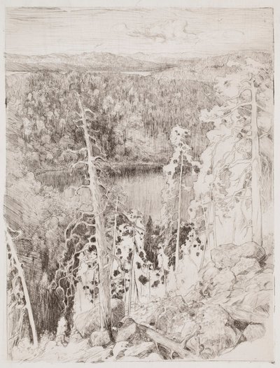 Paisagem de Koli; Paisagem florestal de Räsävaara de Eero Järnefelt