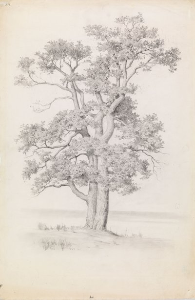  de Eero Järnefelt
