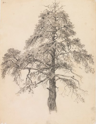 Copa de pinheiro de Eero Järnefelt