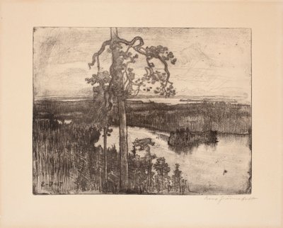 Sem título de Eero Järnefelt
