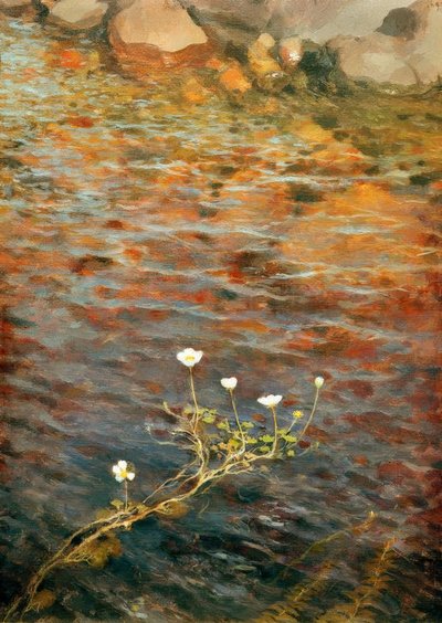 Waterranununcle de Eero Nikolai Jarnefelt