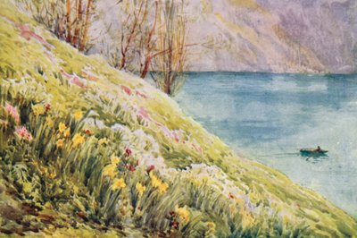 Suíça de Effie Jardine