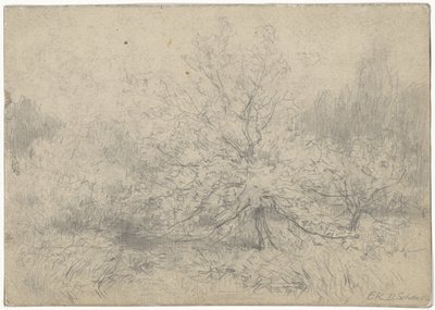 Paisagem com uma árvore proeminente no centro de Egbert Rubertus Derk Schaap