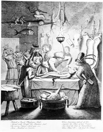 &39;Eis um Salão de Físicos do Quack ...&39;, gravado por William Henry Toms, 1730 (gravura) de Egbert van the Elder Heemskerck