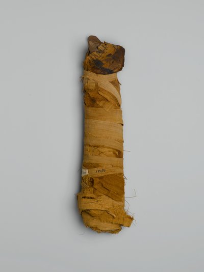 Múmia de gato, comprada no Cairo (restos de animais e linho pintado) de Egyptian