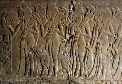 Baixo-relevo do túmulo de Maia, ama de leite de Tutankhamon, Saqqara, Egipto, Civilização Egípcia, Novo Reino, Dinastia XVIII, pormenor de Egyptian 18th Dynasty