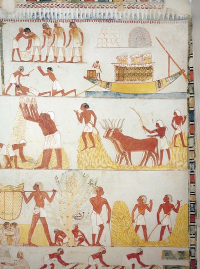 Barco, e cenas de colheita, recolha, transporte e processamento de cereais, fresco, ala sul, câmara transversal, Theban Tomb TT69, Sheikh Abd el-Qurna, Thebes (Lista do Património Mundial da Unesco de Egyptian 18th Dynasty