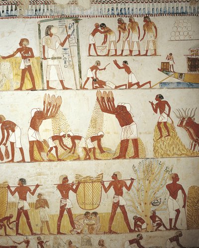 Egipto, Tebas, Luxor, Sheikh 