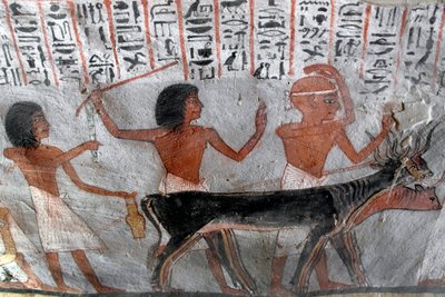 Antiquite egípcio: personagens que lideram cabeças de rabo de cauda. Pintura da Tumba de Roy (TT255). 18ª dinastia. Da Cisjordânia de Luxor, Egipto. de Egyptian 18th Dynasty