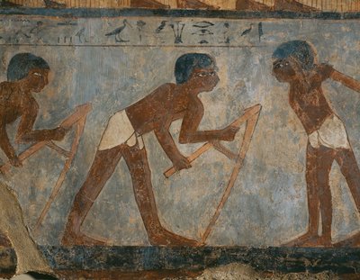 Trabalhadores agrícolas nos campos (pintura mural) de Egyptian 18th Dynasty