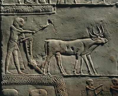 Horemheb a lavrar a terra nos Campos de Iaru. Relevo do túmulo de Horemheb em Saqqara, pormenor. de Egyptian 18th Dynasty