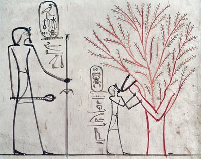 Ísis metamorfoseada em um plátano amamentando Tuthmosis III (c.1479-1425 aC) (pintura de parede) de Egyptian 18th Dynasty