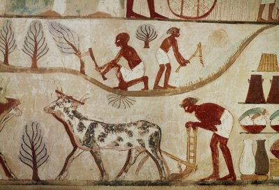 Trabalhos do campo (pintura mural) de Egyptian 18th Dynasty