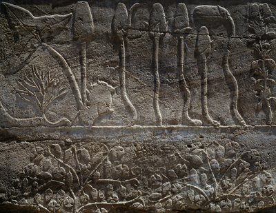 Plantas trazidas da expedição de Tutmés III à Síria em 1465 a.C., pormenor do relevo, salão conhecido como o chamado Jardim Botânico, Templo de Amon, Complexo do Templo de Karnak, Civilização Egípcia, Novo Reino, Dinastia XVIII de Egyptian 18th Dynasty