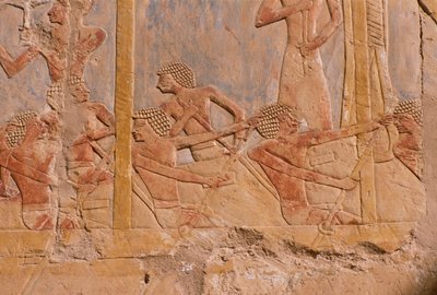 Relief retratando homens remando em um barco, parede decorada em honra da deusa Hathor, detalhe, do Templo Mortuário de Hatshepsut (c.1503-1482 aC) New Kingdom (calcário pintado) de Egyptian 18th Dynasty