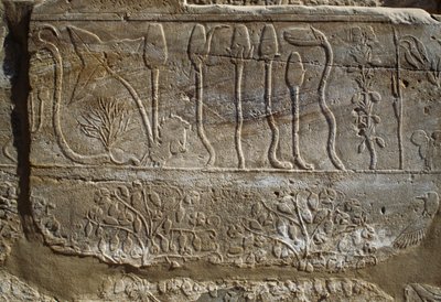 Relevo de animais e plantas oferecido a Amon por Tutmés III no seu regresso da campanha da Síria em 1465 a.C., Sala do Jardim Botânico, Karnak, Necrópole Tebana, Luxor, Egipto, Novo Reino, Dinastia XVIII de Egyptian 18th Dynasty