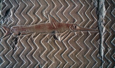 Representação de peixes, cenas do Reino de Punt, parede sul da colunata central, Templo Mortuário de Hatshepsut, Deir el-Bahari, Luxor, Tebas (Lista do Património Mundial da Unesco de Egyptian 18th Dynasty