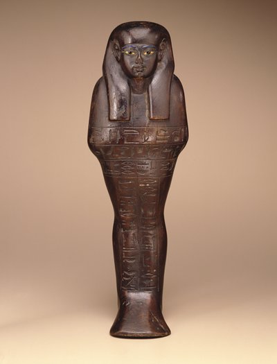 Shawabti de Maya, New Kingdom, c.1390-1353 aC (madeira, pintura e vidro) de Egyptian 18th Dynasty