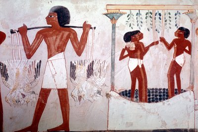 Imagem desconhecida de Egyptian 18th Dynasty